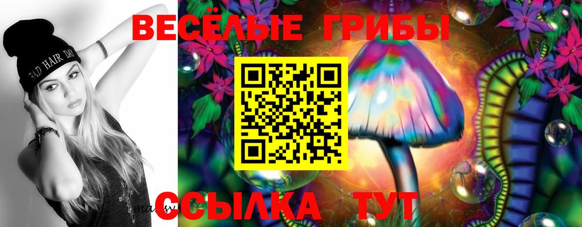 Геленджик  Псилоцибиновые грибы Psilocybine cubensis  Вход с VPN  Галлюциногенные грибы мицелий 